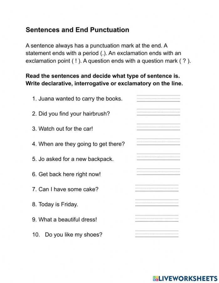 Worksheet showing the four types of sentences: declarative, interrogative, imperative, and exclamatory for third graders