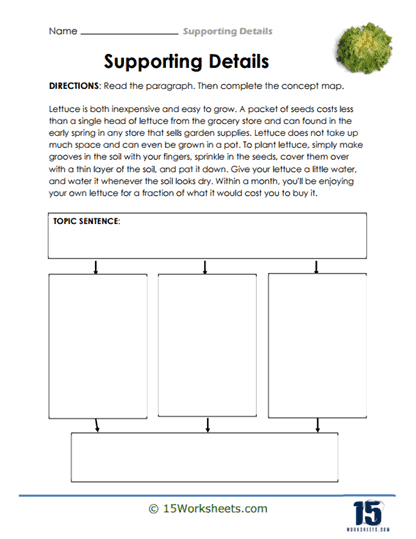 Worksheet for adding relevant supporting details focusing on main ideas for third graders