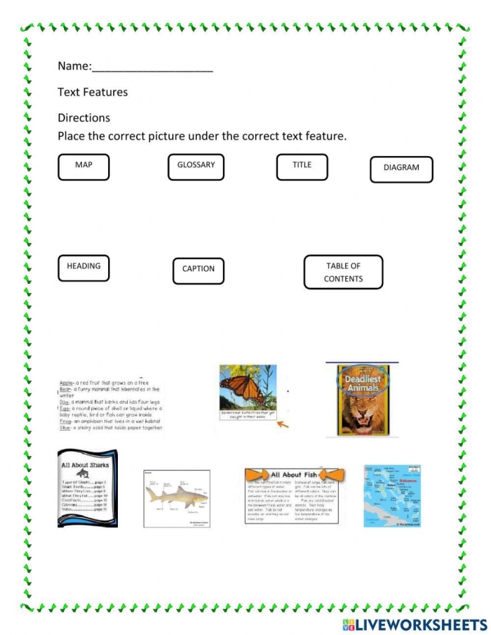 Third grade student practicing how to identify and describe non-fiction text features on a worksheet