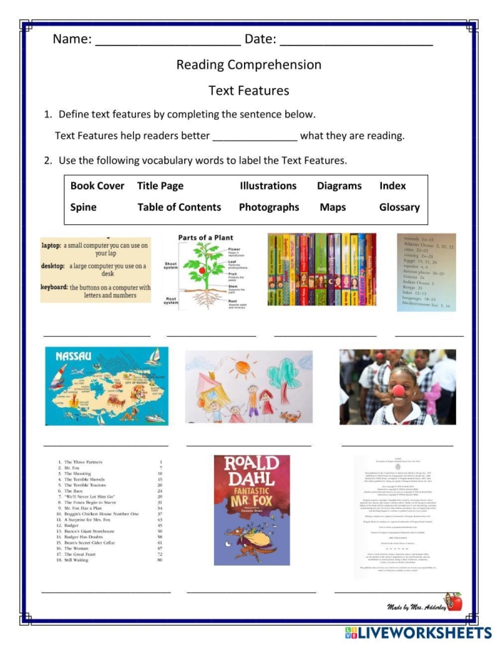 Third grade student completing a text feature descriptions worksheet