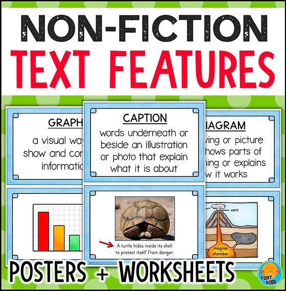 Text Feature Descriptions worksheet for third graders focusing on vocabulary practice