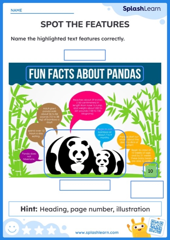 Worksheet focused on comprehension of text and text features for third graders
