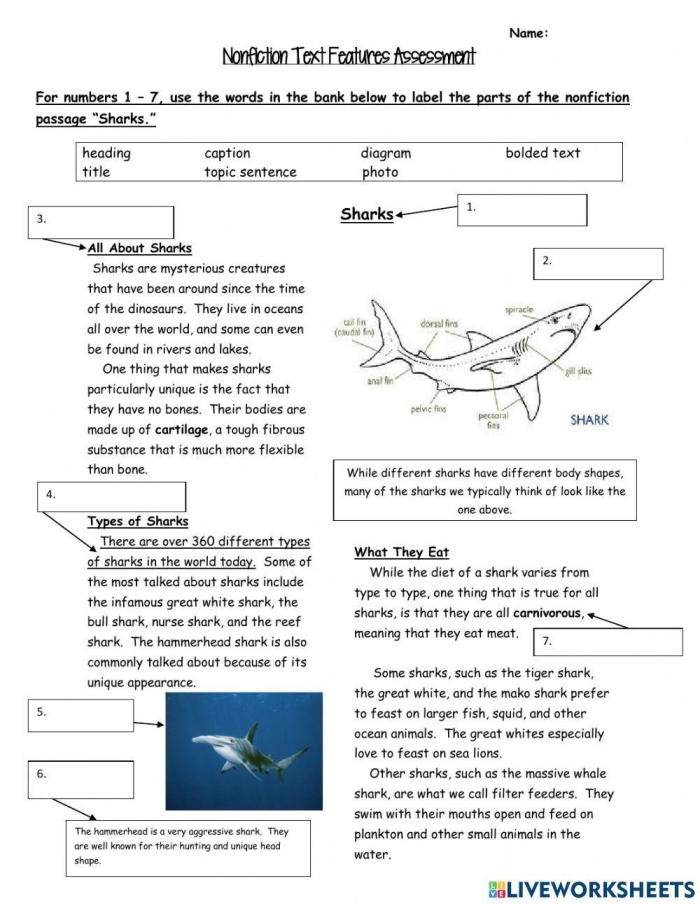Worksheet for third graders on text features and comprehension skills