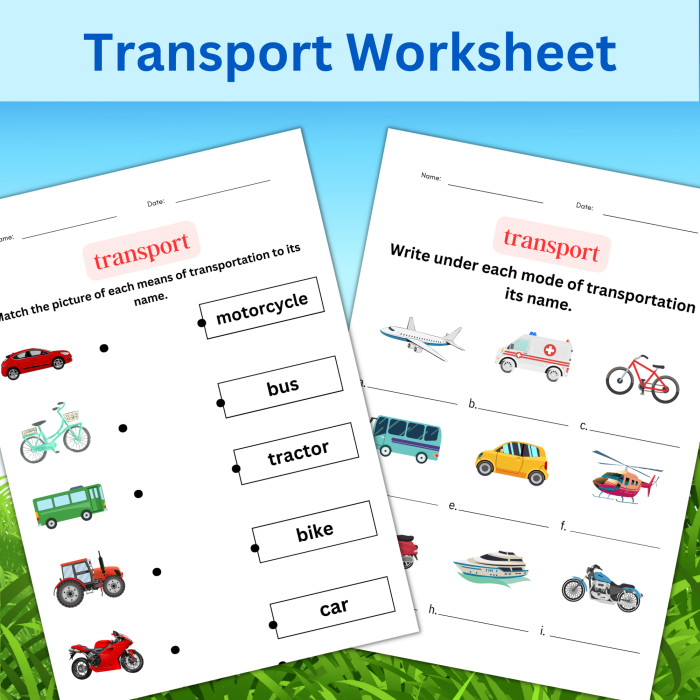 Fractions worksheet for Third Grade Transportation-themed worksheet for third graders practicing multiplication and division fact families. Engaging fractions practice for young learners.