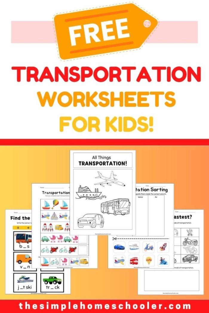 Engaging worksheet on transportation fact families for third grade fractions learning Transportation-themed worksheet for third graders practicing multiplication and division fact families