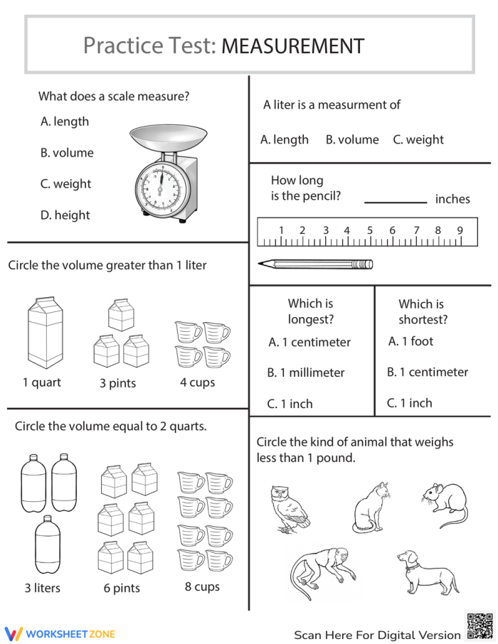 Worksheet featuring a units of measurement practice test for third graders