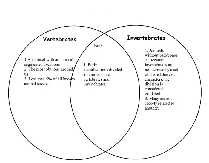 Worksheet for comparing and contrasting vertebrates and invertebrates for third graders