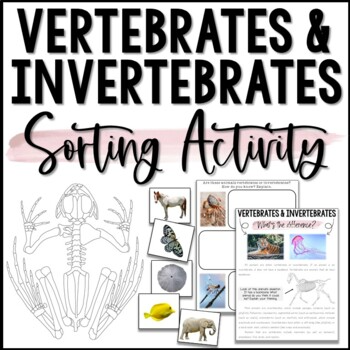 Worksheet for comparing and contrasting vertebrates and invertebrates for third graders