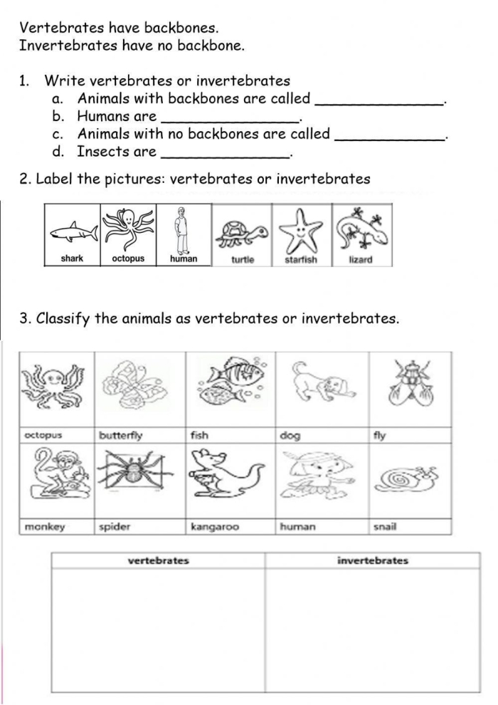 Worksheet featuring a compare and contrast exercise on vertebrates and invertebrates for third graders