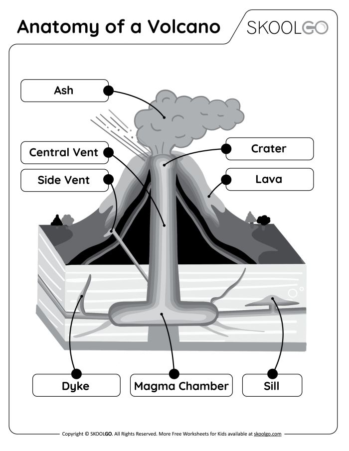 Third grade science worksheet featuring a labeled diagram of an active volcano for students