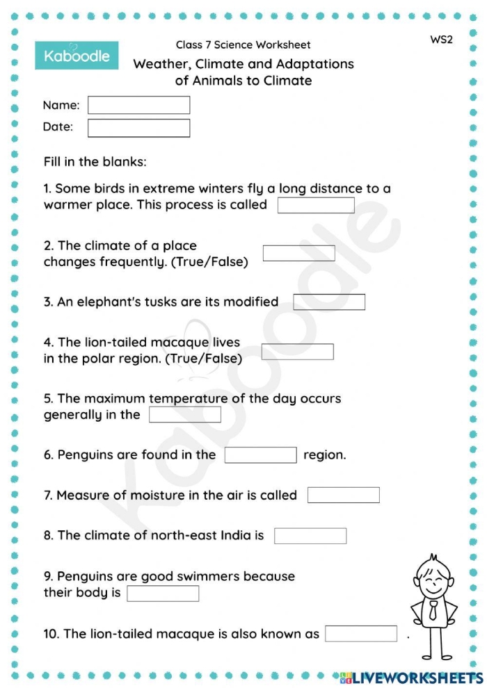 Wild, Wild Weather Worksheet: Text-Dependent Questions for Young Learners Worksheet for third graders answering questions about extreme weather events
