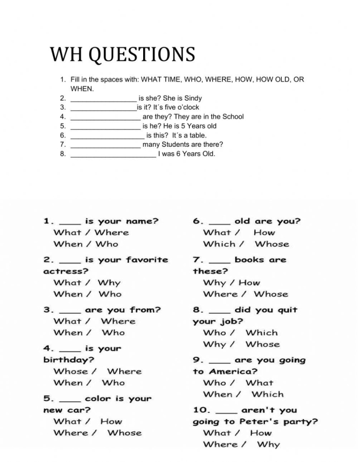 Third grade wh questions worksheet showing a story about children and dogs at the park with addition problems