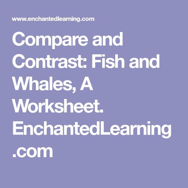 Worksheet for comparing and contrasting whales using a Venn diagram for third graders