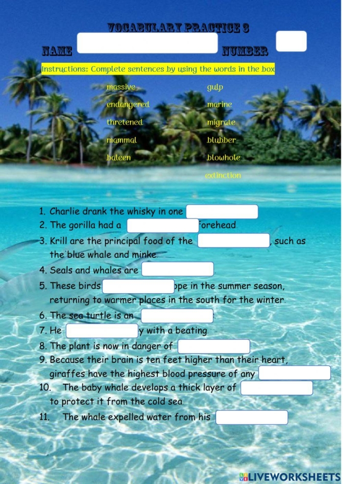 Worksheet featuring a Venn diagram for comparing and contrasting whales