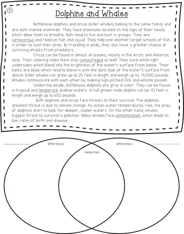 Venn diagram worksheet for comparing and contrasting whales in third grade fractions lesson