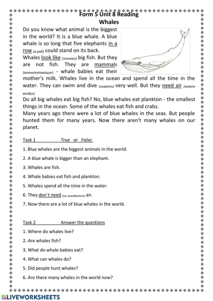 Worksheet for comparing and contrasting whales using a Venn diagram for third graders