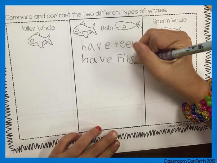 Venn diagram worksheet for third graders to compare and contrast information about whales