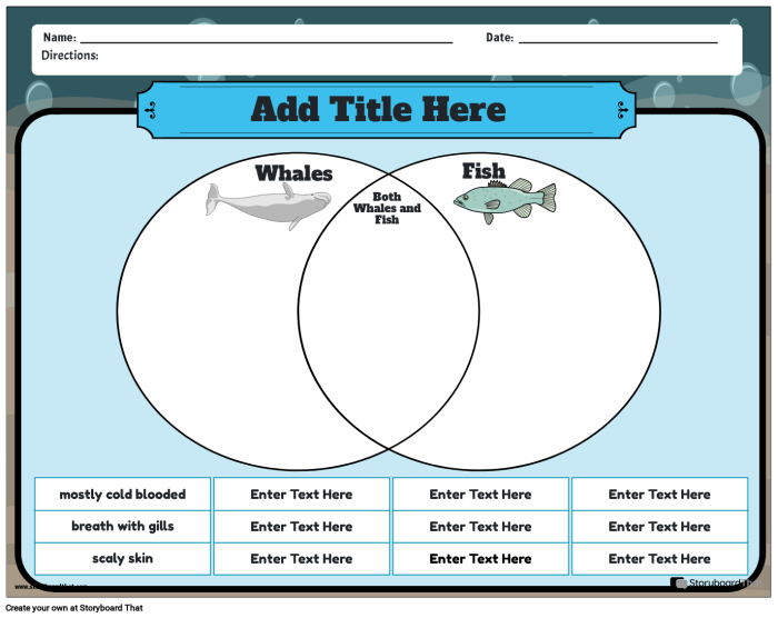 Worksheet for comparing and contrasting whales using a Venn diagram for third graders