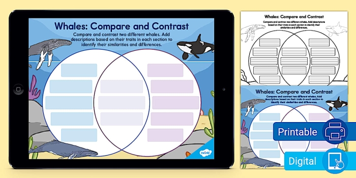 Whales comparison worksheet featuring a Venn diagram for analyzing similarities and differences
