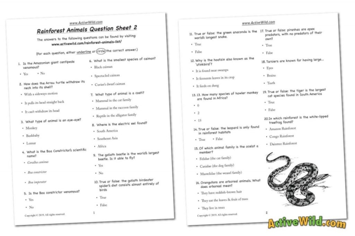 Answering Questions About Wild, Wild Weather for third-grade students Worksheet featuring third graders answering questions about wild weather phenomena