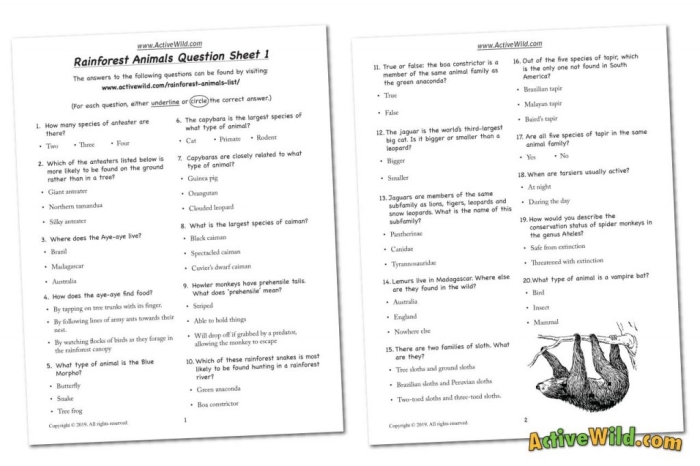 Answering Questions About Wild Wild Weather worksheet for grade three students number 14 Third grade worksheet for answering text-dependent questions about wild weather patterns