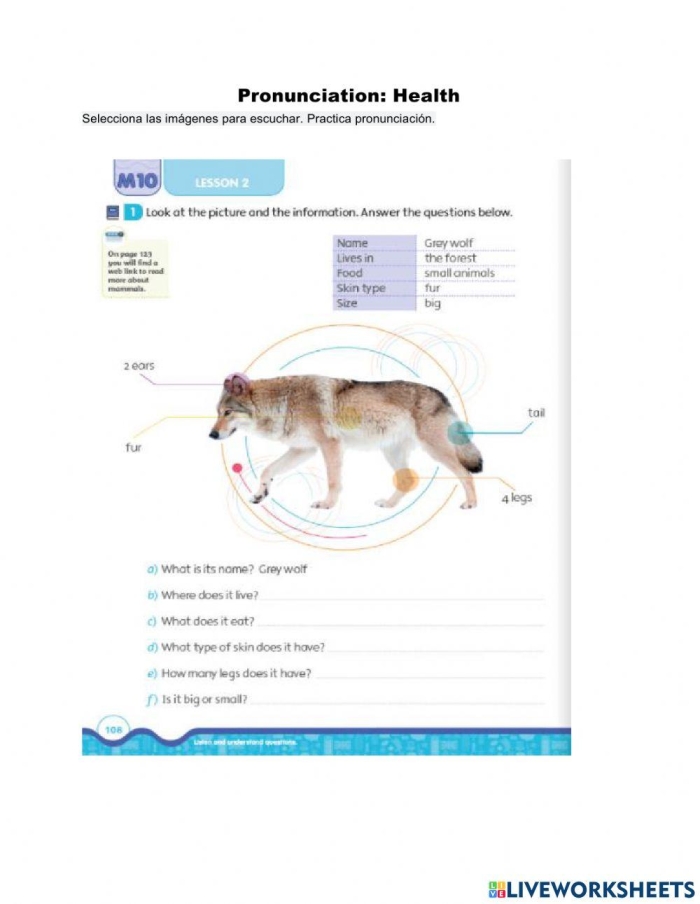 Third grade students learning about wolf behavior and habitat with a Yellowstone worksheet