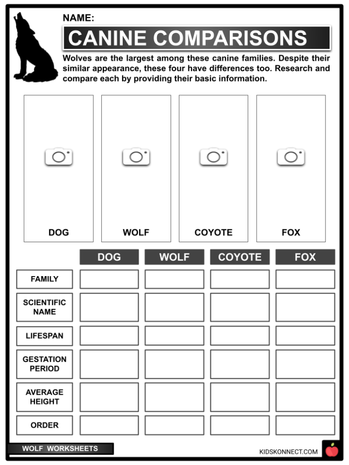 Educational worksheet featuring a wolf illustration for third grade life science studies