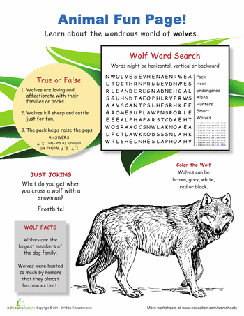 Third grade science worksheet featuring a wolf in Yellowstone National Park