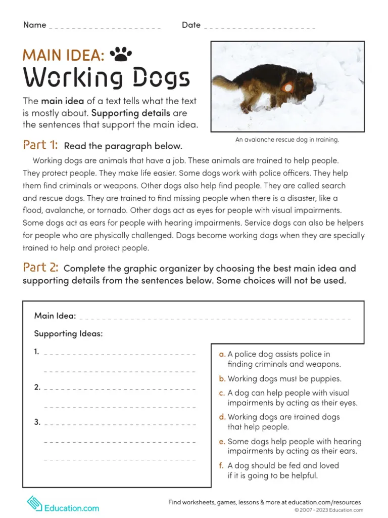 A third-grade student engaging with a worksheet about the roles of working dogs in society