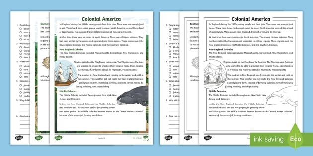 Third grade social studies worksheet about colonial America facts and opinions