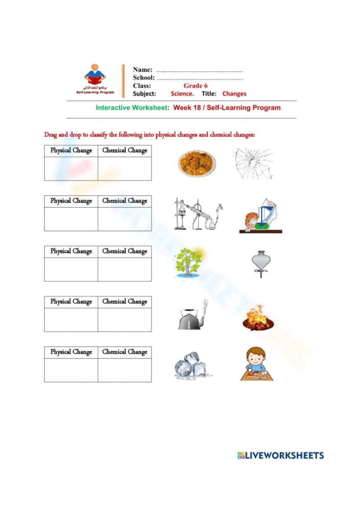 Worksheet illustrating the differences between chemical and physical changes for third graders