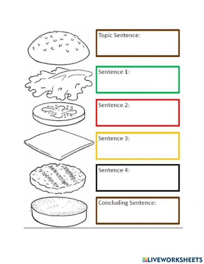 Burger-themed graphic organizer worksheet for third graders to plan their writing. Engaging burger graphic organizer for young authors in Earth and Space Science.