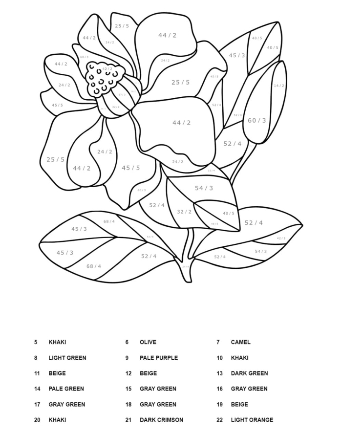 Third grade math student solving a division color by number worksheet