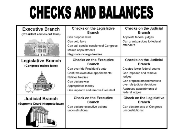 Diagram showing the three branches of U.S. government with arrows illustrating checks and balances between executive, legislative, and judicial branches