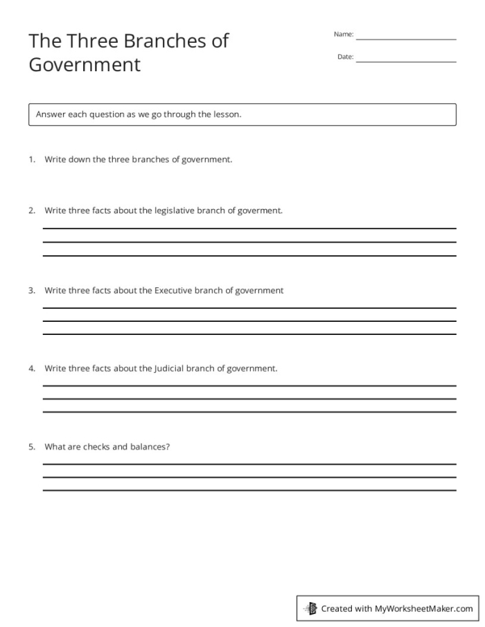 Second grade students learning about the legislative, executive, and judicial branches of US government with labeled buildings and roles