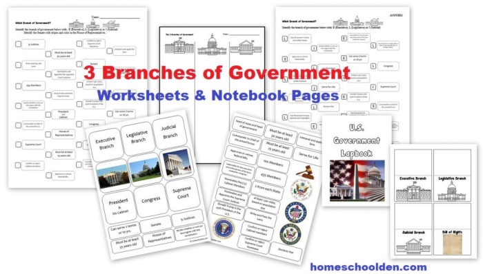 Second grade worksheet for learning about the three branches of the United States government