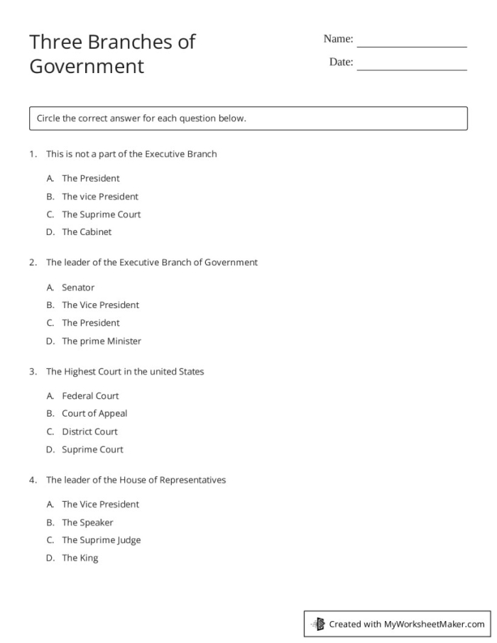 Second grade worksheet about the three branches of government in the USA