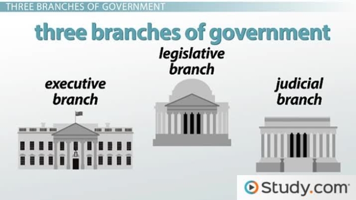 Worksheet for sorting roles within the three branches of government for kids
