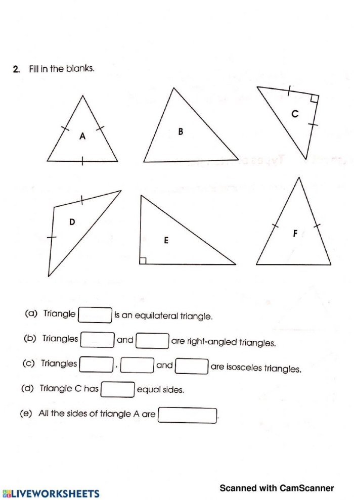 Reading worksheet for Third Grade Worksheet featuring the three types of triangles: equilateral, isosceles, and scalene. Educational resource for third graders learning about triangle classifications.