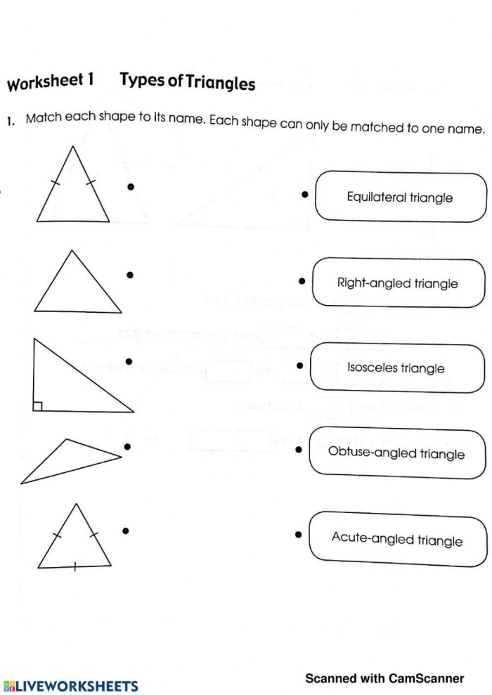 Third grade math worksheet identifying equilateral isosceles and scalene triangles Three types of triangles worksheet for third grade students