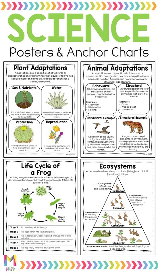 Topography for Kids worksheet featuring a colorful topographic map illustration
