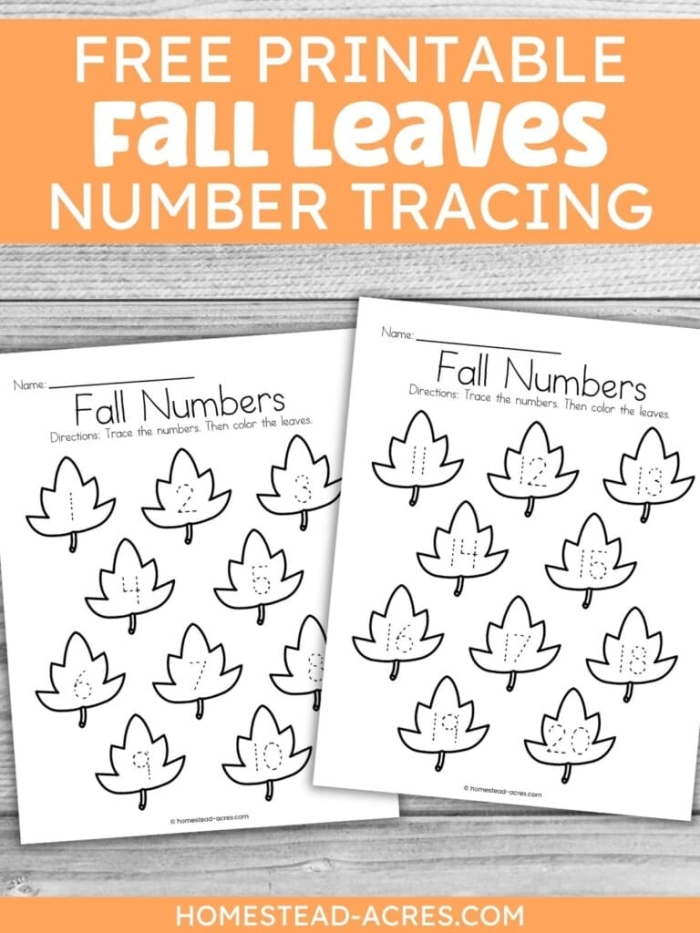 Trace and color a shamrock worksheet for Pre-K children to enjoy St. Patrick's Day. Fun tracing and coloring activity to enhance fine motor skills and celebrate the holiday!