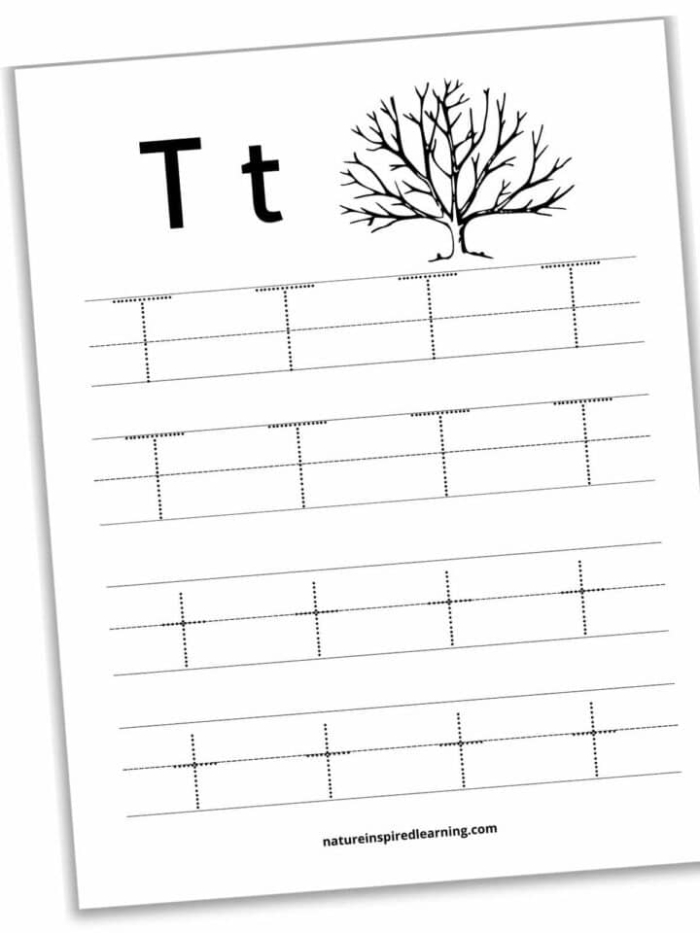 Writing worksheet for Pre-K Practice Tracing the Letter T worksheet designed for Pre-K children to enhance fine motor skills. Worksheet image showing kids tracing lines and the letter T for writing practice.