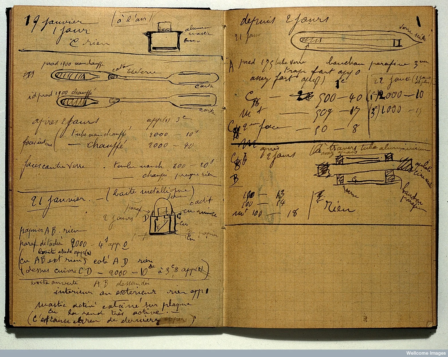 Tracking Important Details: A Look into Marie Curie's Life worksheet image Worksheet featuring key details of Marie Curie's life for fourth graders