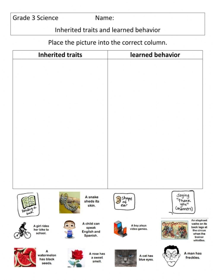 Educational resource for sixth graders exploring trait inheritance concepts Worksheet on the influence of traits inheritance through natural and artificial selection