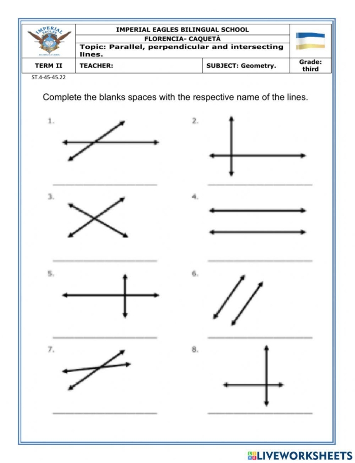 Trapezoids and Parallel Lines Practice Activity for Elementary Students Third grade geometry worksheet showing trapezoids with parallel lines highlighted for students to identify and compare 2D shapes