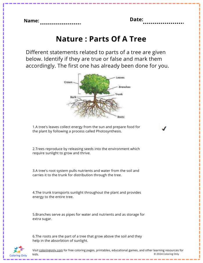 First grade science worksheet featuring a colorful diagram of a tree with labels for the stem, primary root, and secondary roots