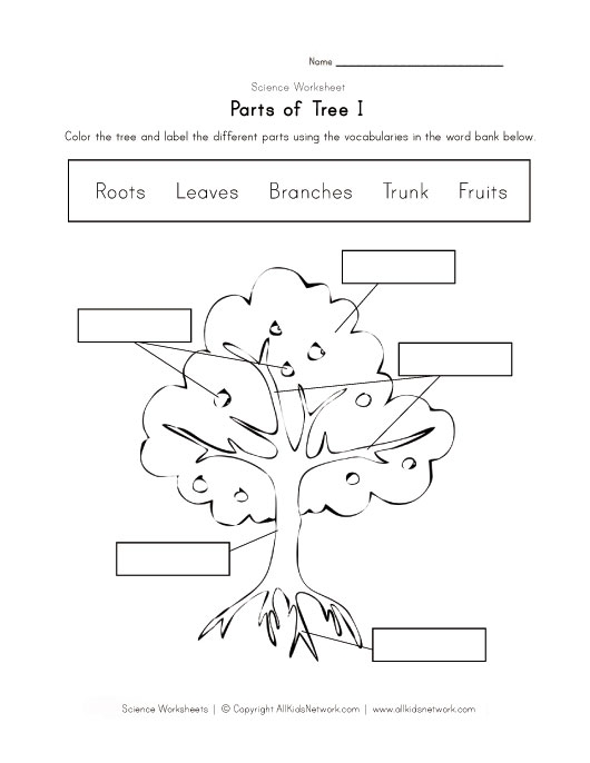Colorful diagram of a tree parts worksheet for first graders to label the stem and roots