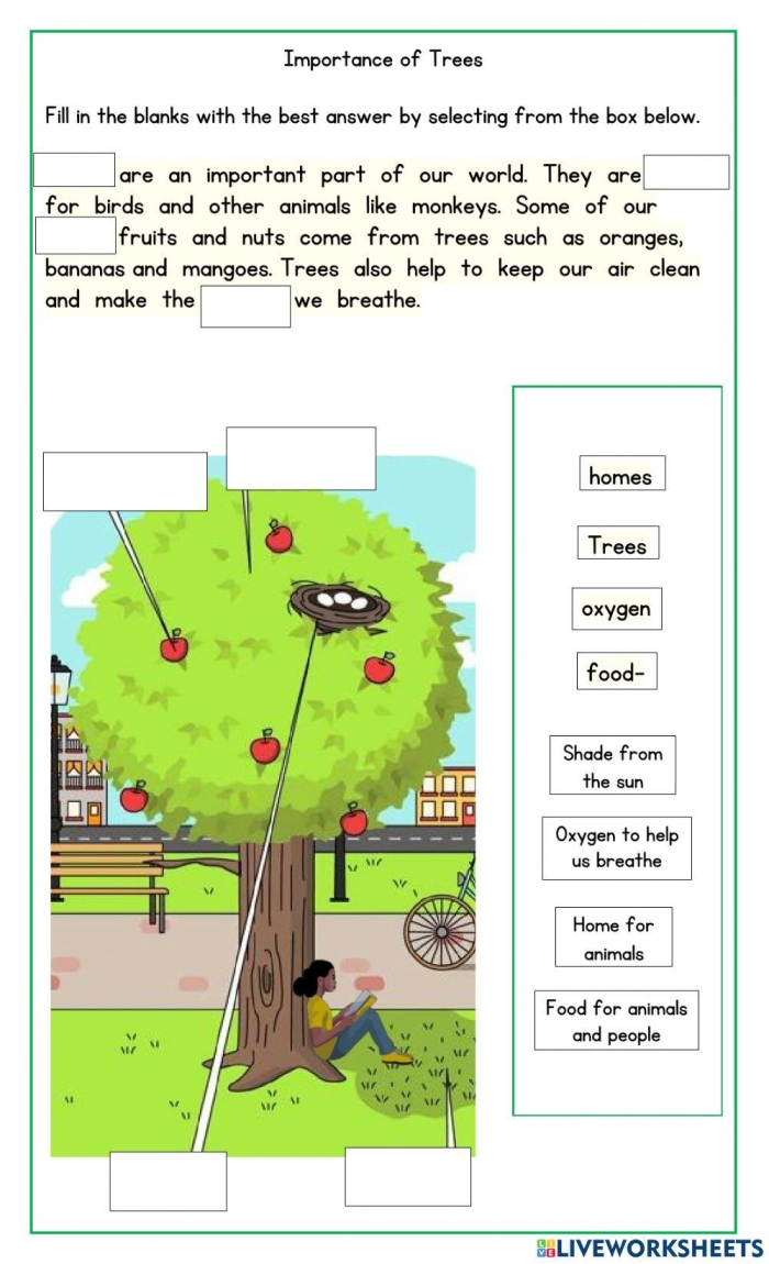Kindergarten worksheet featuring a diagram to label the different parts of a tree