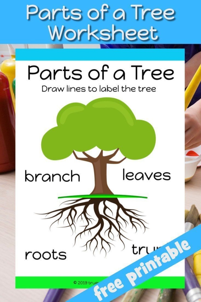 First grade life science worksheet with a labeled diagram of tree parts including roots and stem